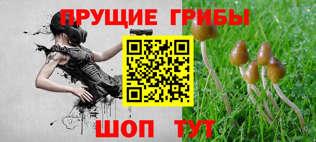 Людиново  Псилоцибиновые грибы ЛСД  Вход с VPN  Псилоцибиновые грибы MAGIC MUSHROOMS 